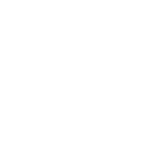 Kleeblatt_white